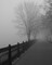 Promenade in the Mist Poster Print by Anonymous Anonymous - Item # VARPDXFAF94